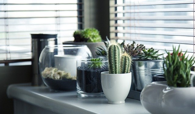 函轉數位發展部「開放文件格式(ODF)使用滿意度問卷」一案